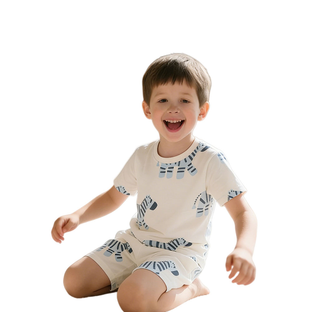 2026 New Arrival 3-8T Zebra Bo - đánh giá và giá Baby Zebra Clothing